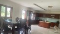 Bán Gấp Đất MT Đường Thanh Niên XTT Hóc Môn 2100m2 Chỉ  15tr/1m2